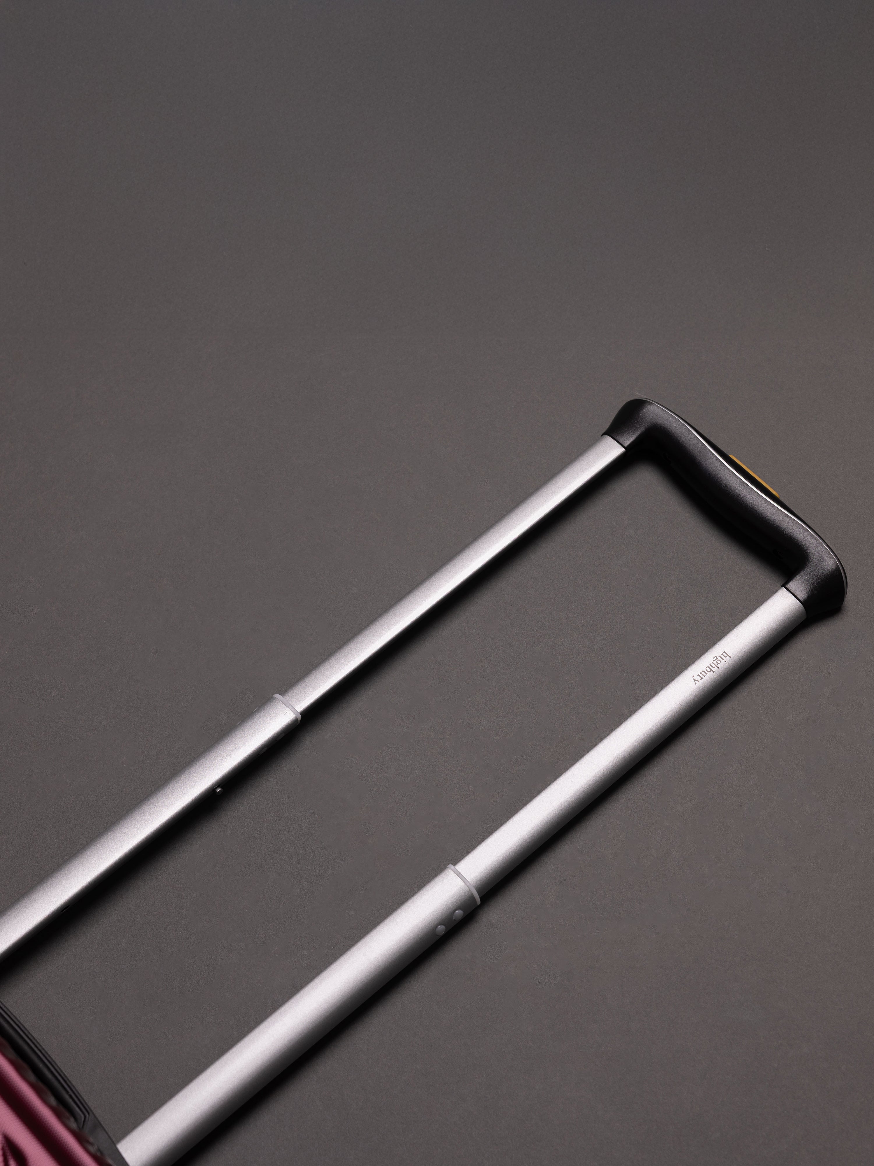 Highbury Burgundy Hardside Luggage Polypropylene Hard-Shell Spinner/Suitcase Set with 8 Wheels - 29 inches, 25 inches, 20 inches