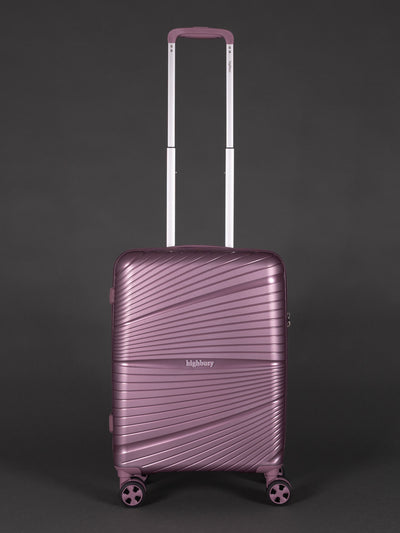 "20 inch orchard purple cabin suitcase with TSA lock and spinner wheels"