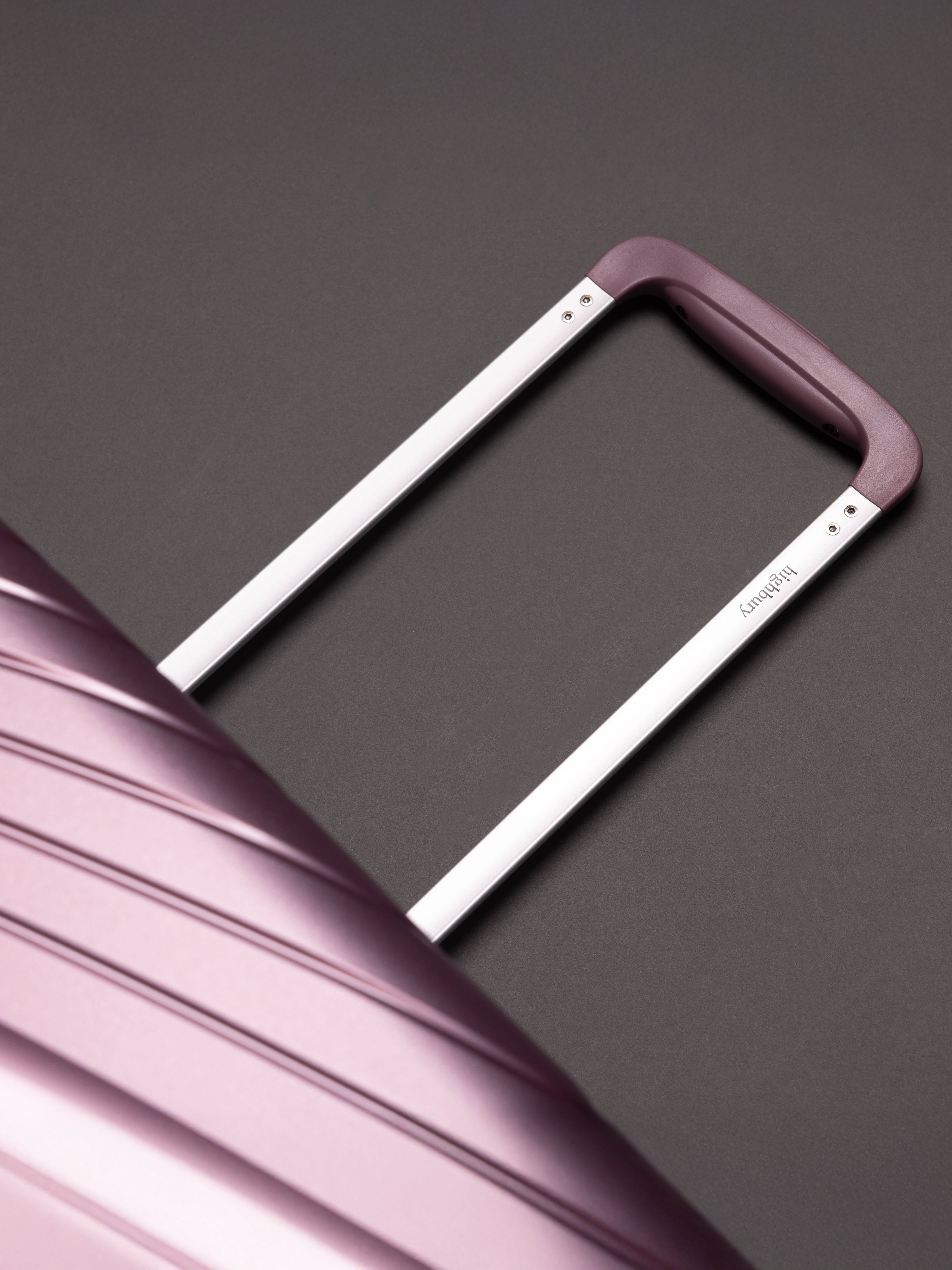 Highbury Helios Ultra-Light Orchard Purple Polypropylene Luggage Set – Hard Shell Spinner Suitcases with TSA Lock (20", 24", 28", 10-Year Warranty)